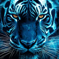 scottTiger
