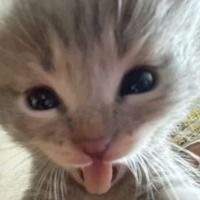 Zenvy